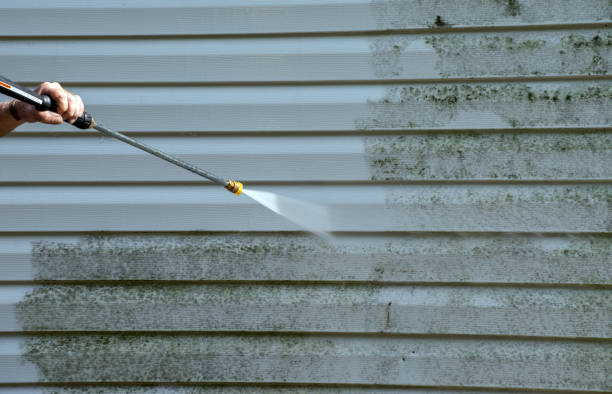 Best Concrete Pressure Washing  in Terry, MS