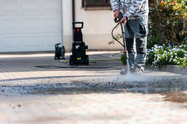 Best Pressure Washing Near Me  in Terry, MS