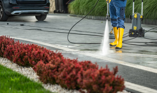 Best Residential Pressure Washing Services  in Terry, MS