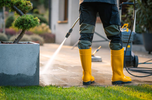 Best Garage Pressure Washing  in Terry, MS